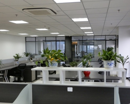 办公室植物摆放风水