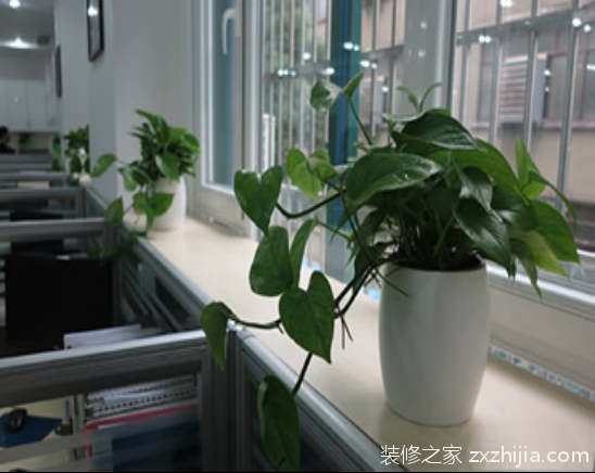 办公室风水