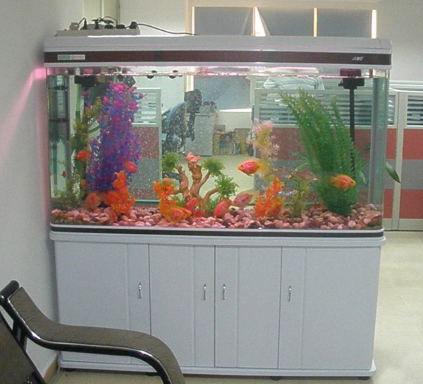 办公室金鱼缸风水