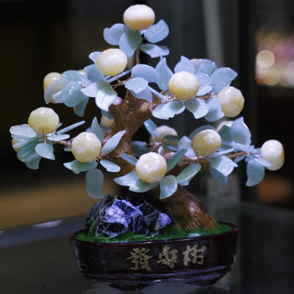 招财树摆放风水