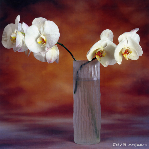 客厅花瓶 客厅花瓶