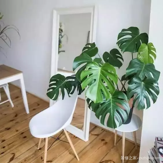 小户型 小户型