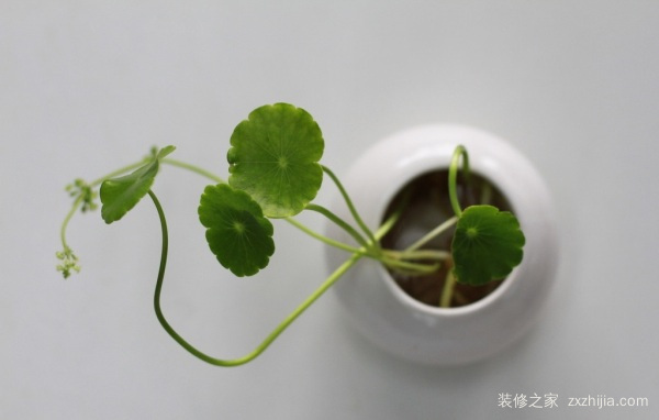 小户型 小户型