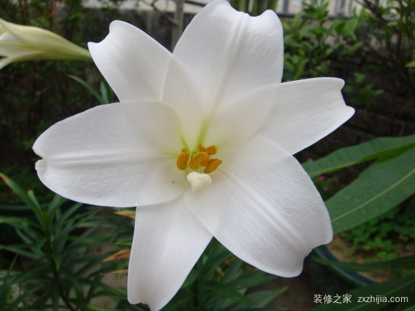 房屋装修 房屋装修