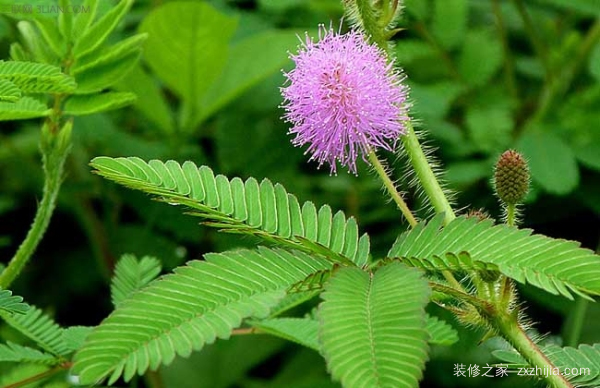 房屋装修 房屋装修