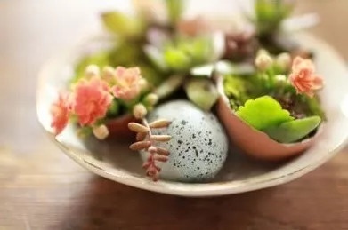 房屋装修 房屋装修