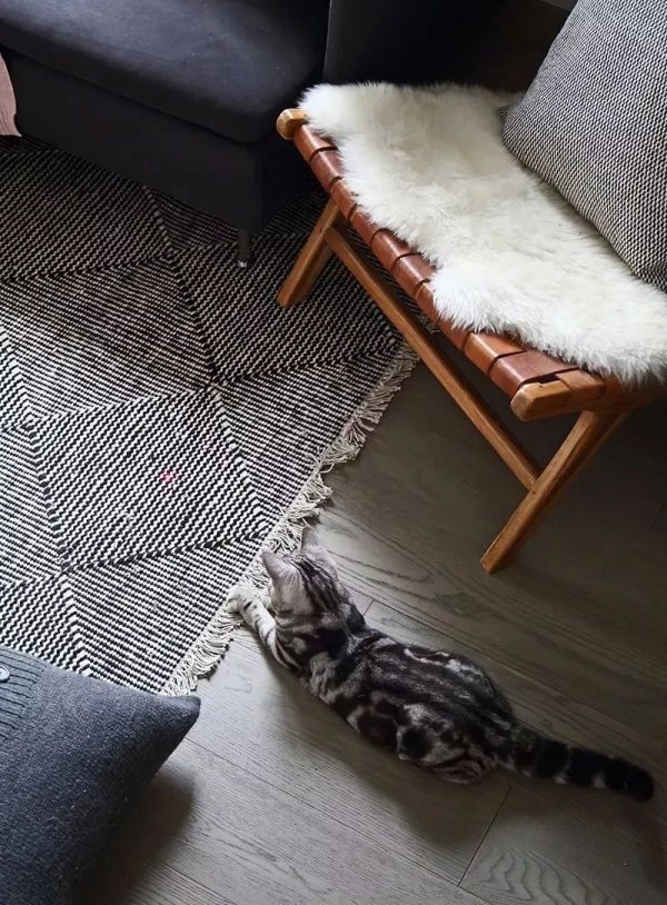 小户型