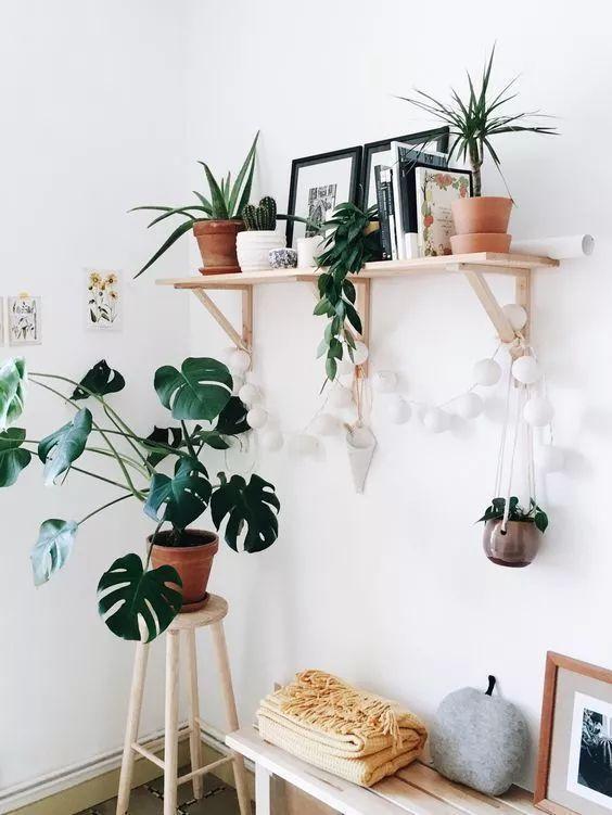 房屋装修 房屋装修