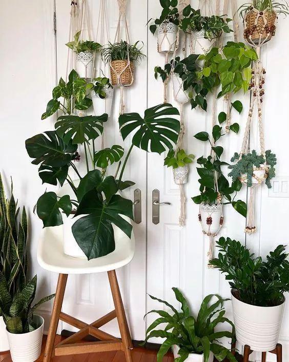 房屋装修 房屋装修