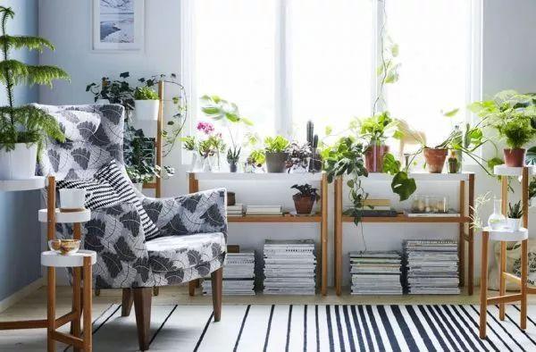 房屋装修 房屋装修
