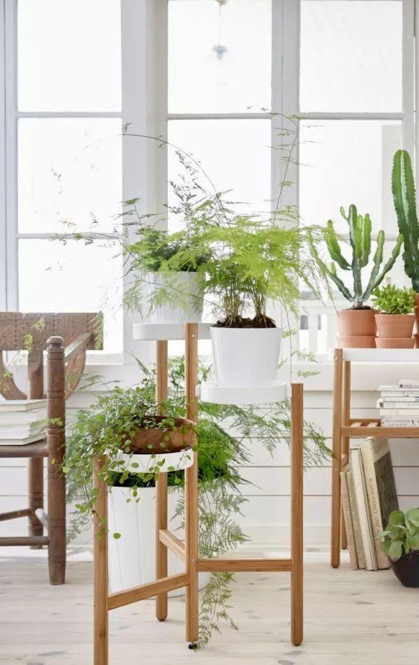 房屋装修 房屋装修
