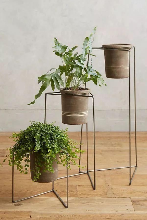 房屋装修 房屋装修