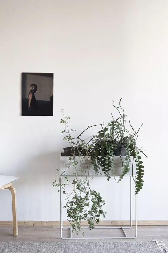 房屋装修 房屋装修