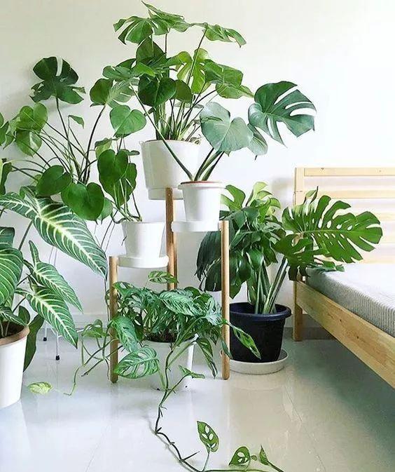 房屋装修 房屋装修