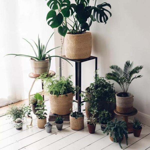 房屋装修 房屋装修