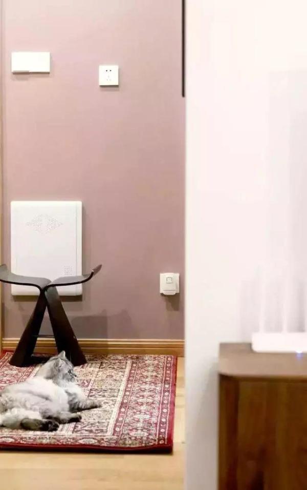 房屋装修 房屋装修