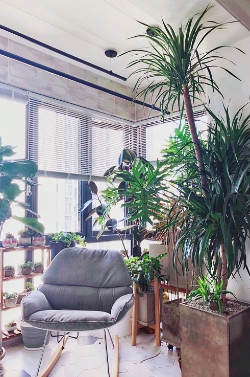 房屋装修 房屋装修