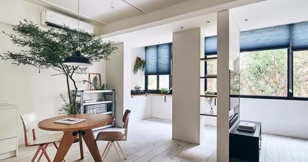 房屋装修 房屋装修