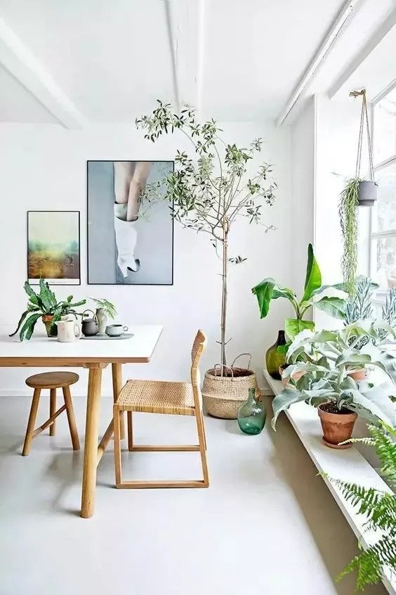 房屋装修 房屋装修