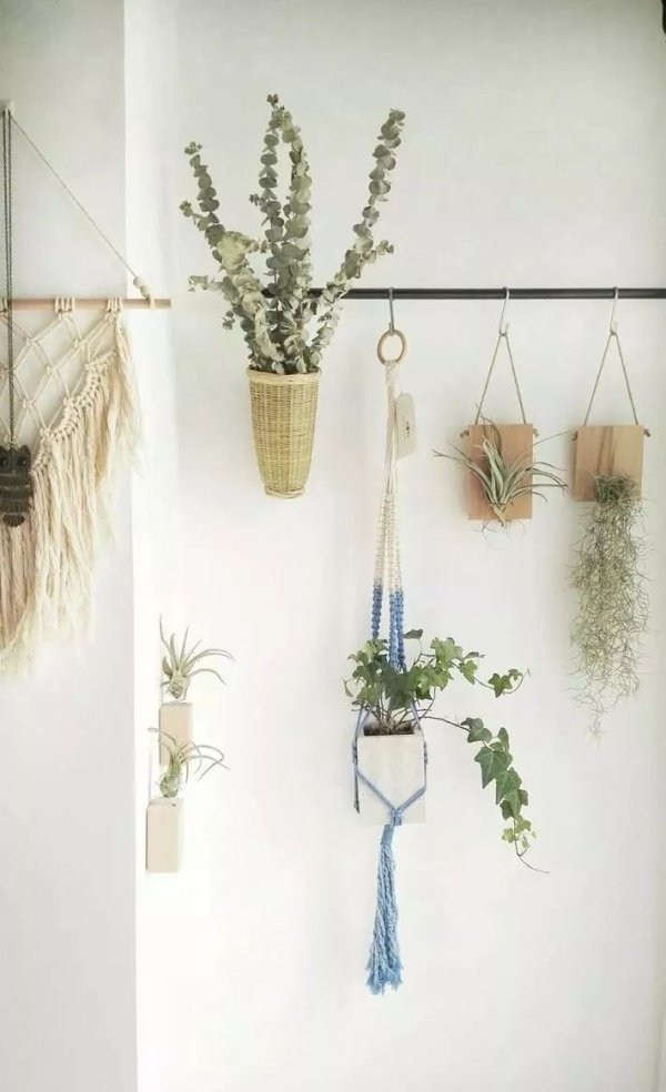 房屋装修 房屋装修