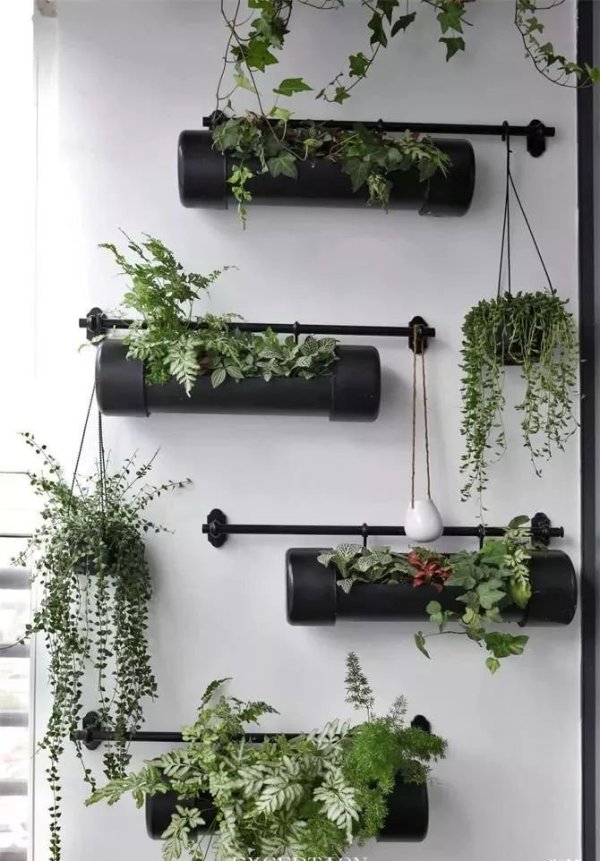 房屋装修 房屋装修