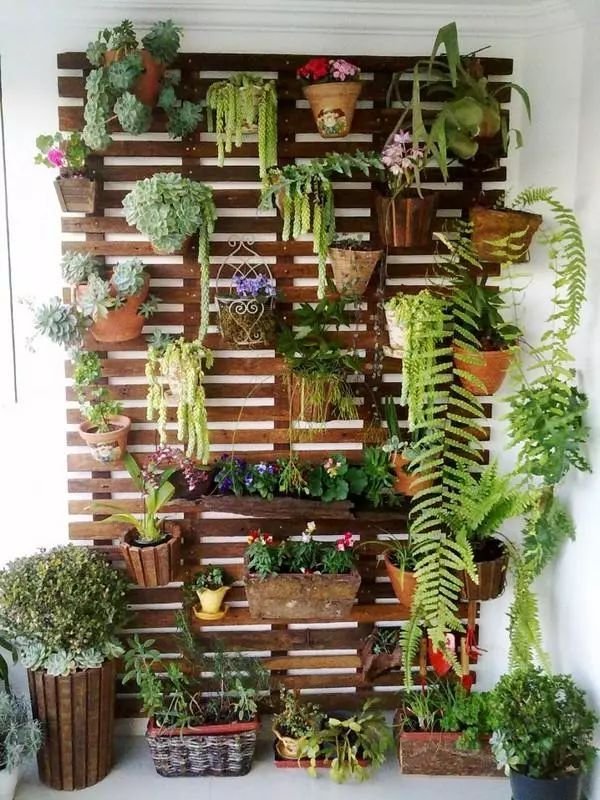 房屋装修 房屋装修