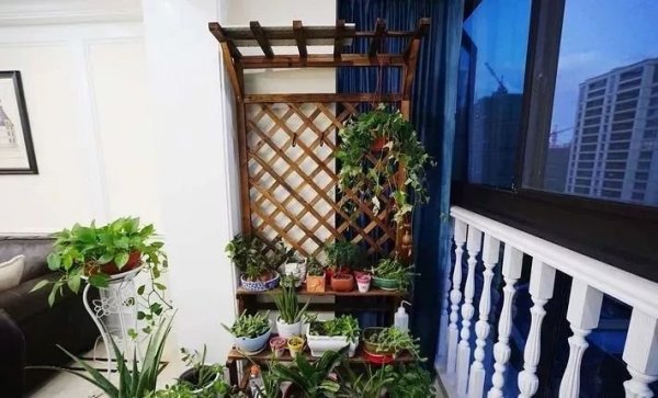 房屋装修 房屋装修