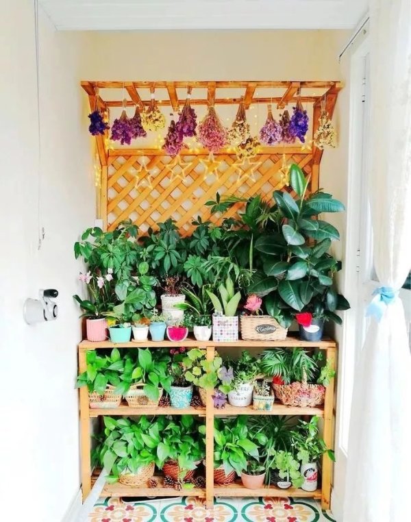 房屋装修 房屋装修