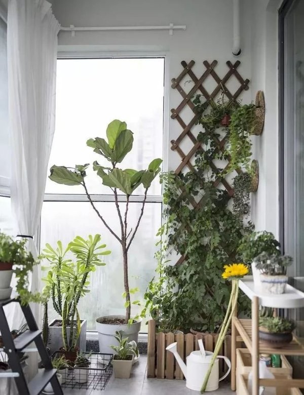房屋装修 房屋装修