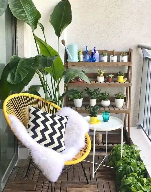房屋装修 房屋装修