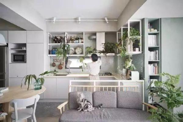 房屋装修 房屋装修