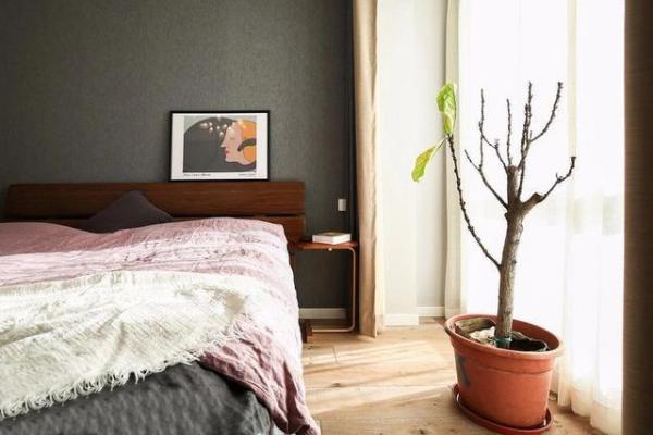 房屋装修 房屋装修