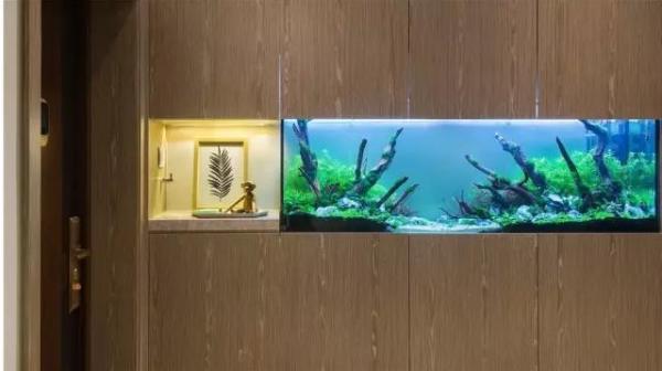 房屋装修 房屋装修