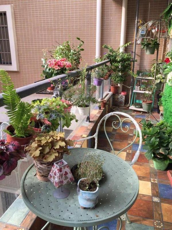 房屋装修 房屋装修