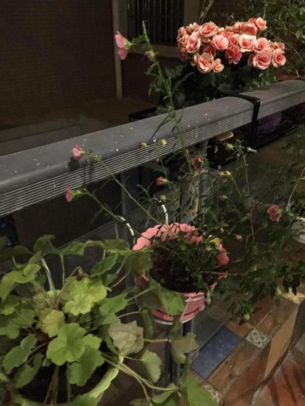 房屋装修 房屋装修