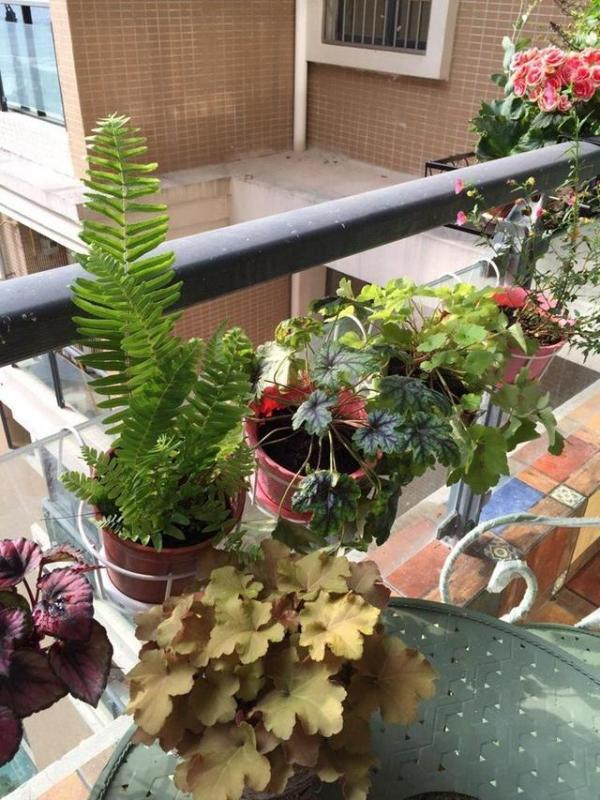 房屋装修 房屋装修