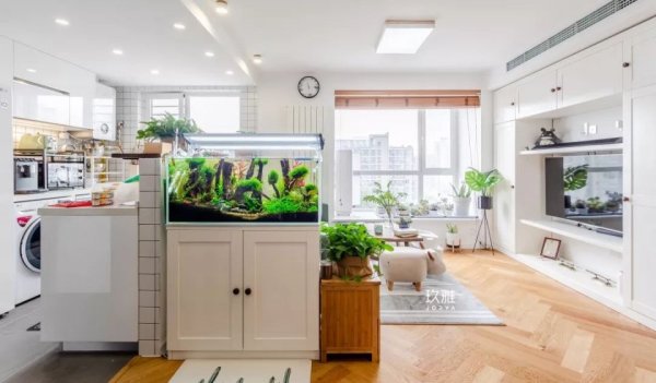 房屋装修 房屋装修