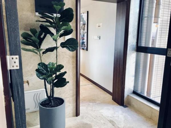 房屋装修