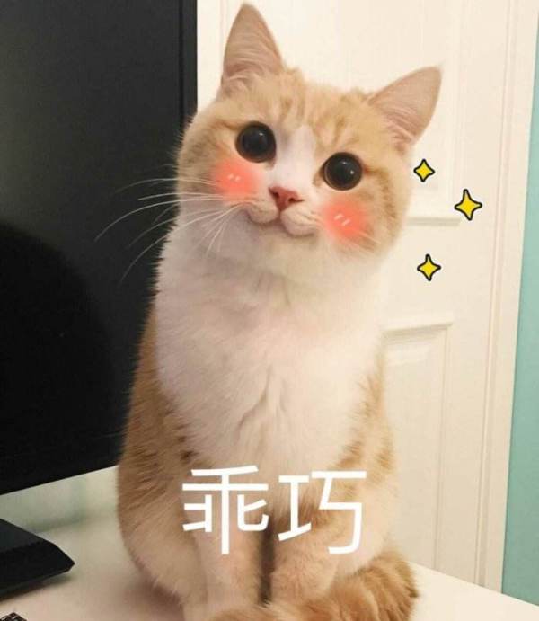 房屋装修