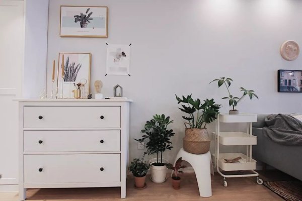 房屋装修