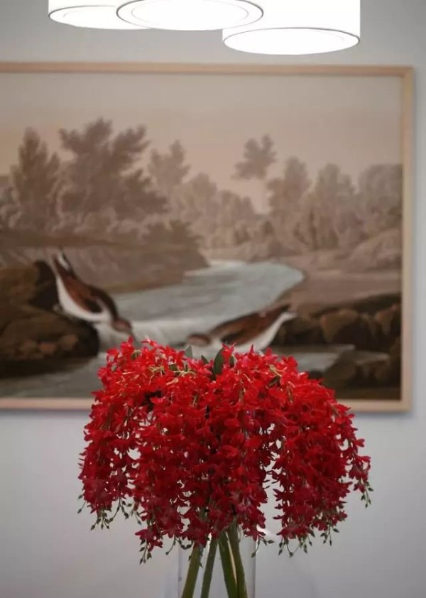 房屋装修