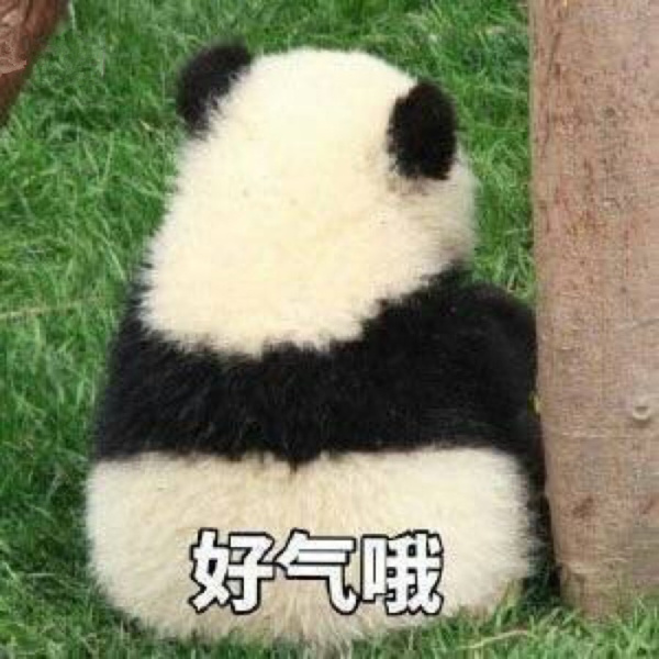 房屋装修