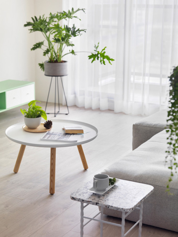 房屋装修 房屋装修