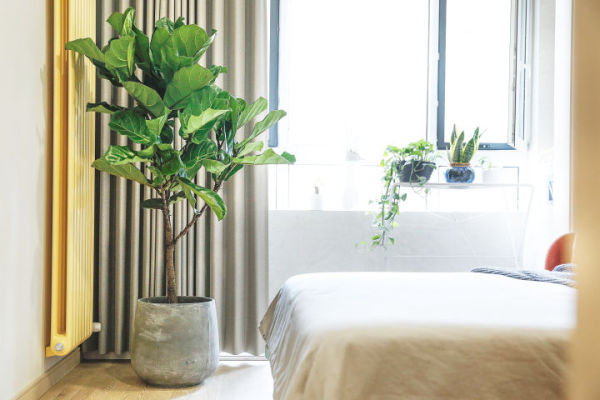 房屋装修