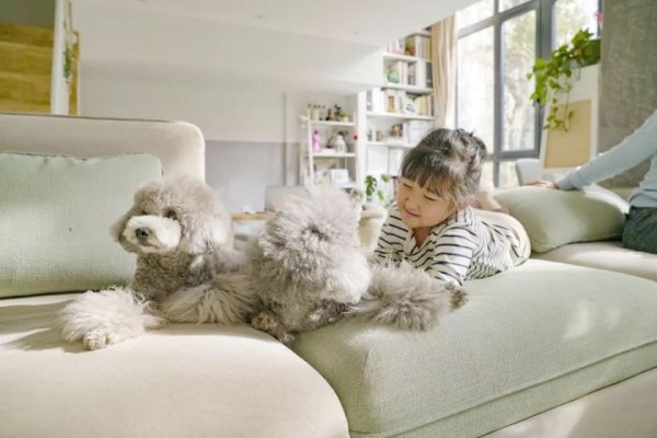 房屋装修 房屋装修