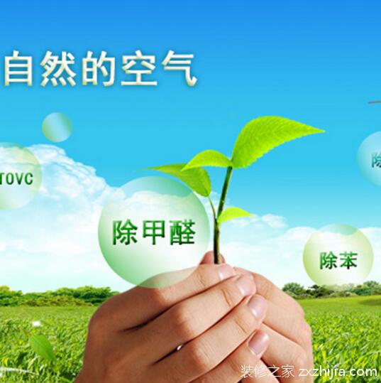 除甲醛最有效方法介绍