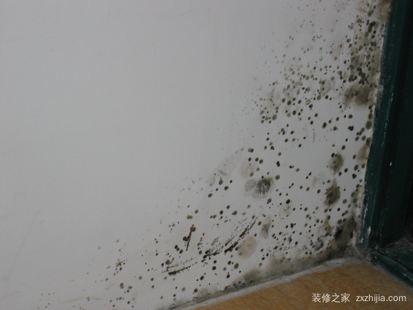 墙壁粉刷步骤