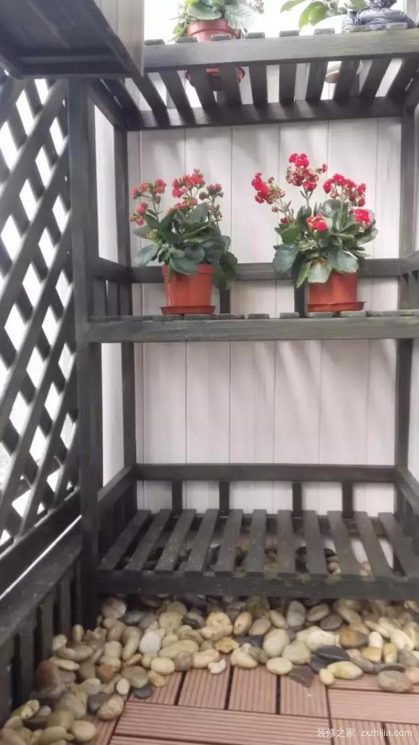 阳台种花