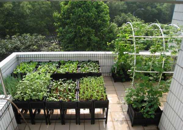 60平方楼顶花园实景