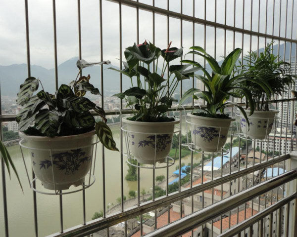 阳台花架设计
